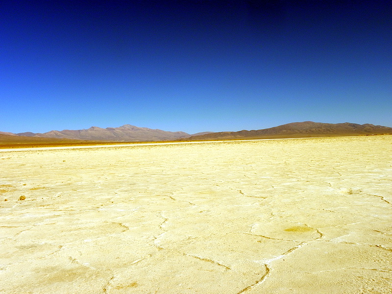 Argentine-0607