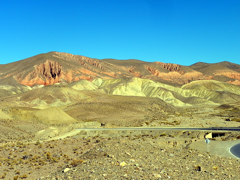 Argentine-0615