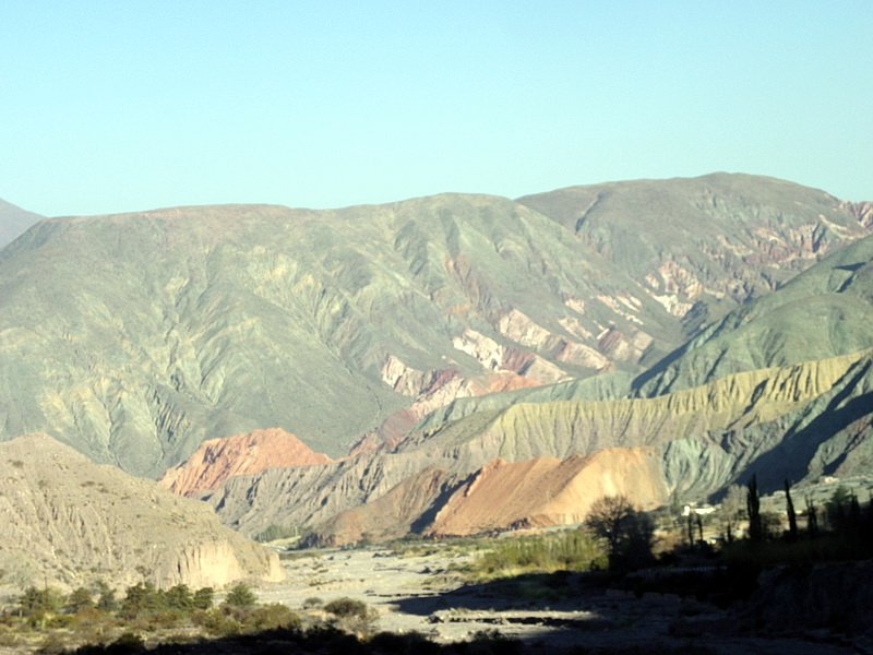 Argentine-0641