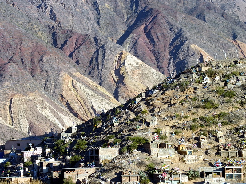 Argentine-0647