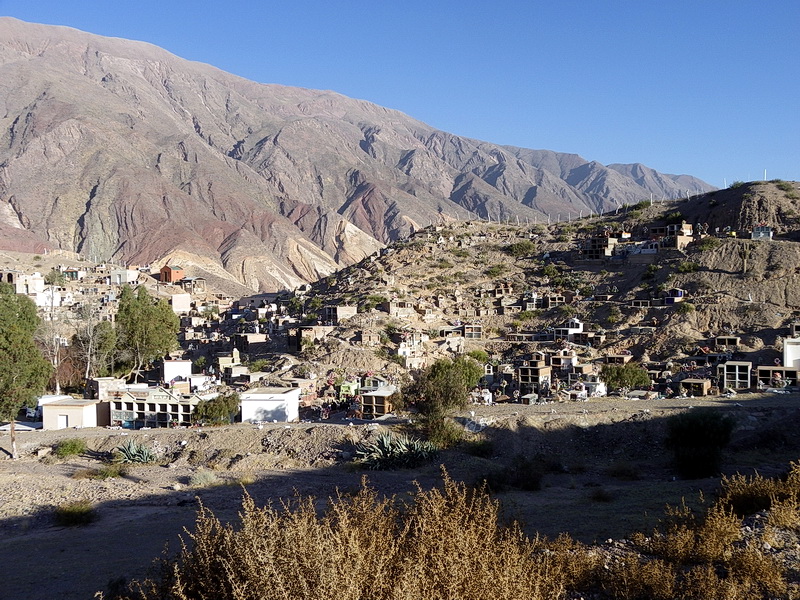Argentine-0650