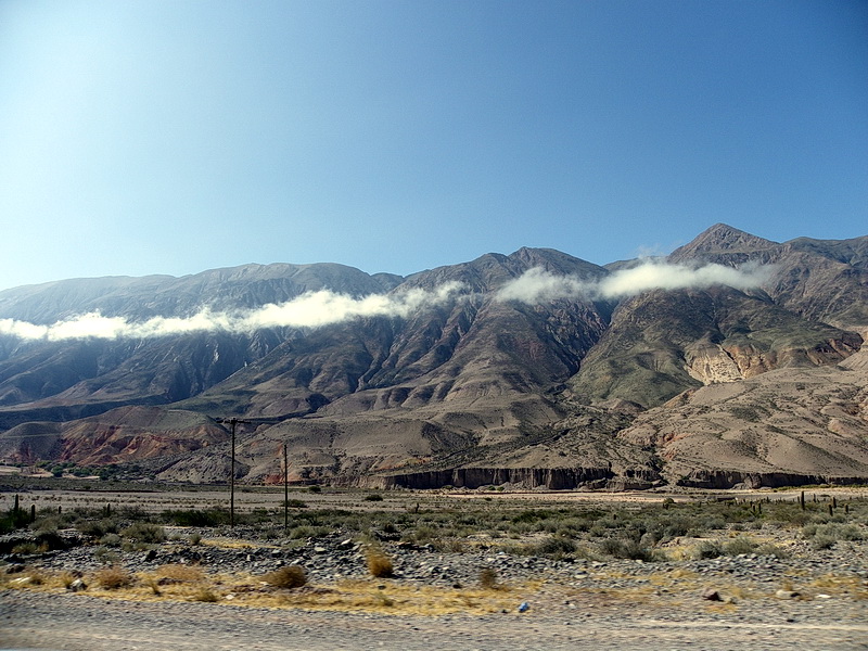 Argentine-0688