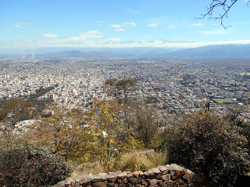 Argentine-0795