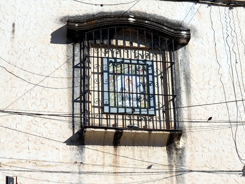 Argentine-0830