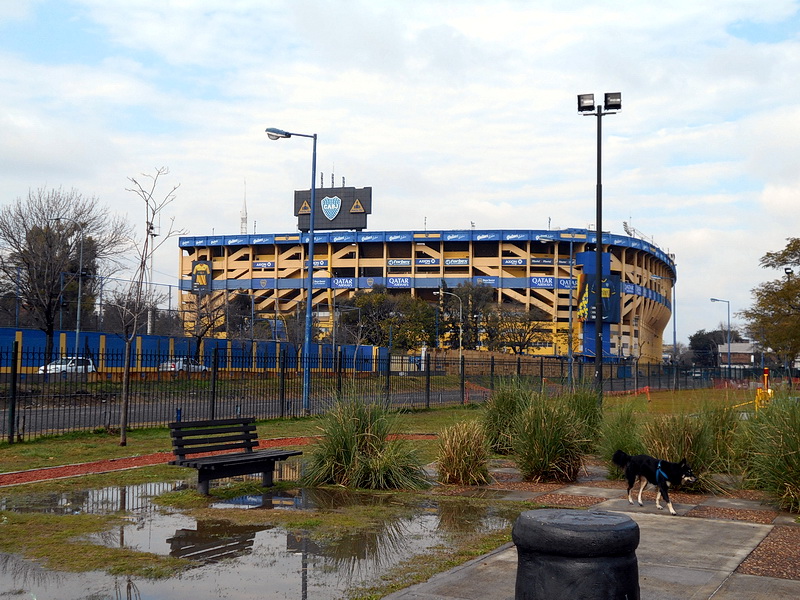 Argentine-0942