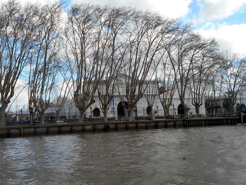 Argentine-1038