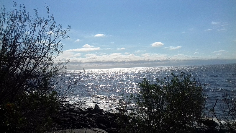 Argentine-1120