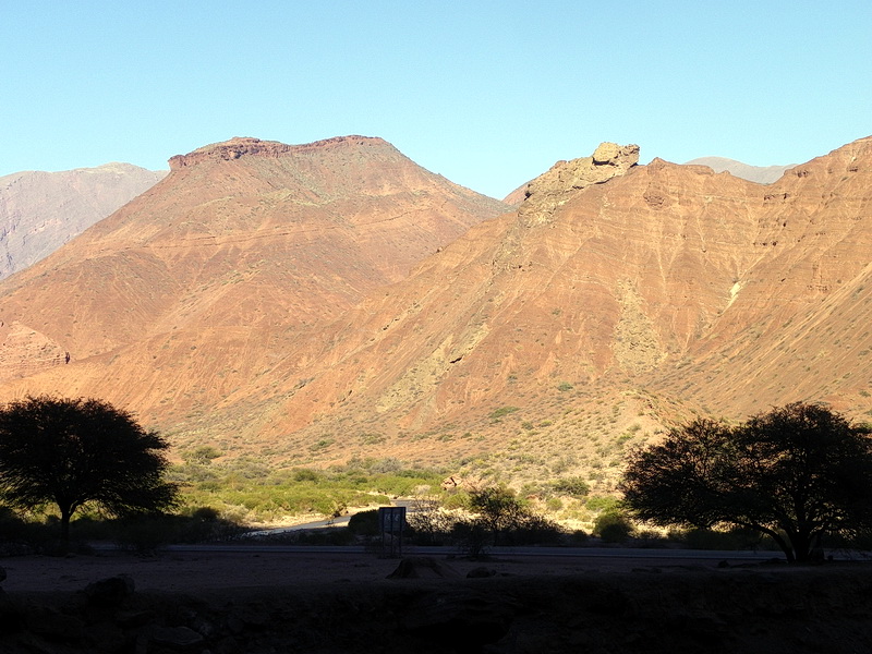 Argentine-0010