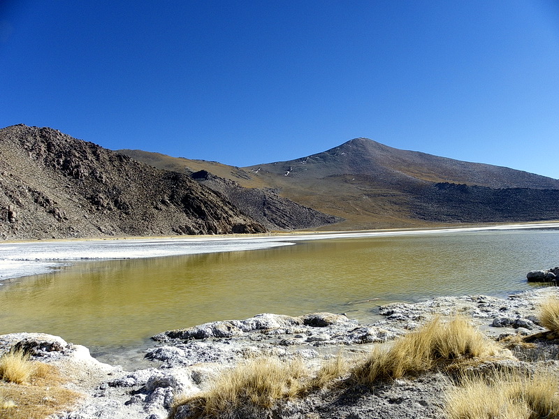 Argentine-0131