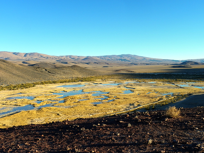 Argentine-0308