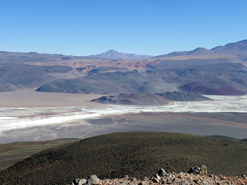 Argentine-0355
