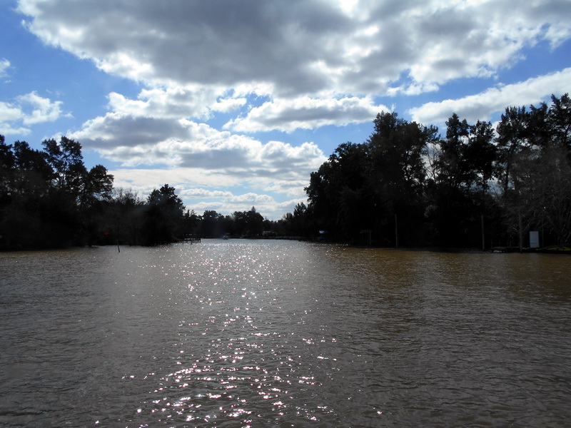 Argentine-1013