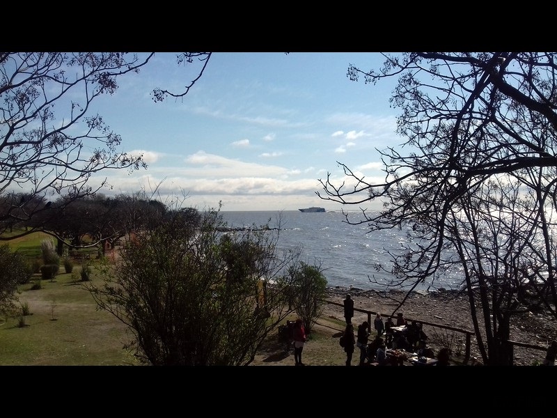 Argentine-1116
