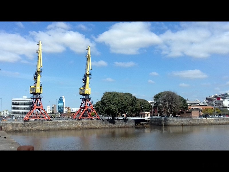 Argentine-1130