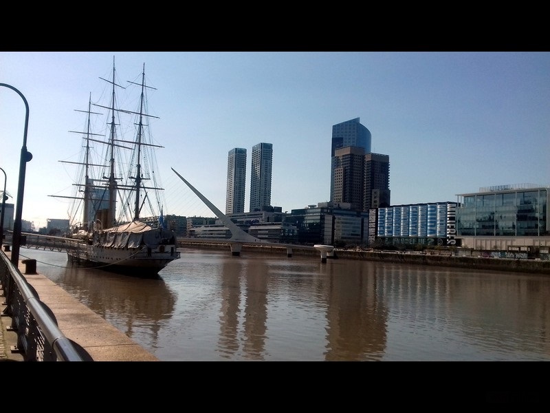 Argentine-1133