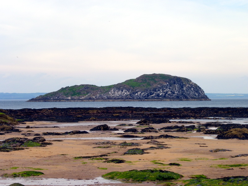 Ecosse-305