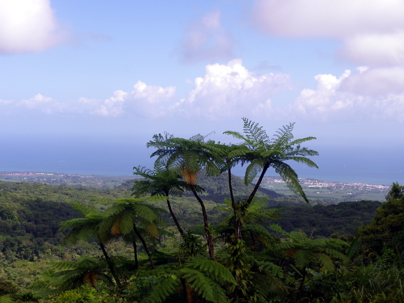 Guadeloupe-081