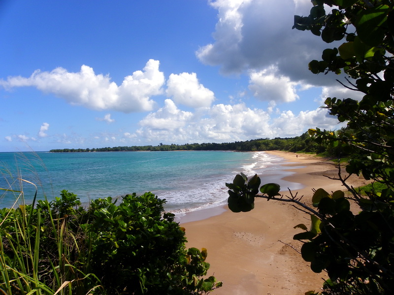 Guadeloupe-119
