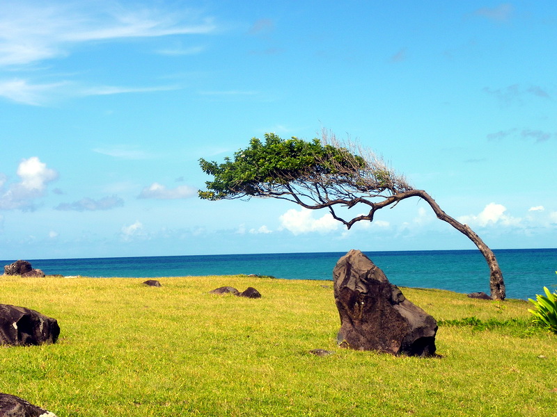Guadeloupe-121