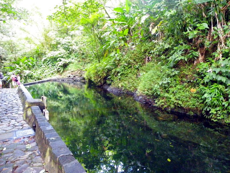 Guadeloupe-131
