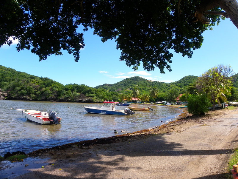 Guadeloupe-167