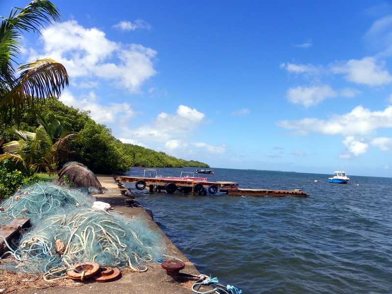 Guadeloupe-248